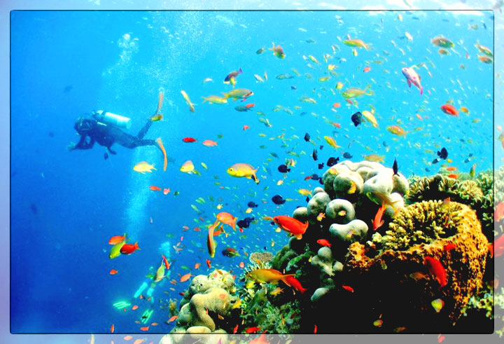 TOUR PHÚ QUỐC 3 NGÀY 2 ĐÊM (LẶN NGẮM SAN HÔ)