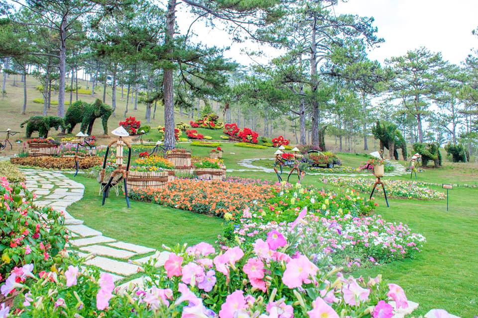 TOUR ĐÀ LẠT 3 NGÀY 3 ĐÊM