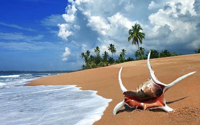 TOUR DU LỊCH LONG HẢI 2 NGÀY 1 ĐÊM