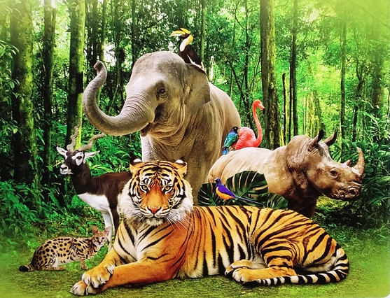 TOUR DU LỊCH PHÚ QUỐC 3 NGÀY 3 ĐÊM(ĐI VỀ BẰNG XE)