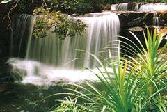 TOUR ĐÀ LẠT 3 NGÀY 2 ĐÊM