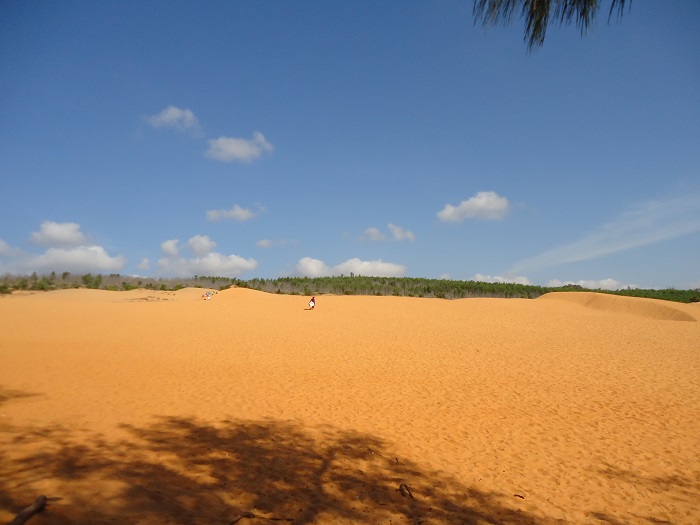 TOUR DU LỊCH PHAN THIẾT - ĐÀ LẠT 4 NGÀY 3 ĐÊM