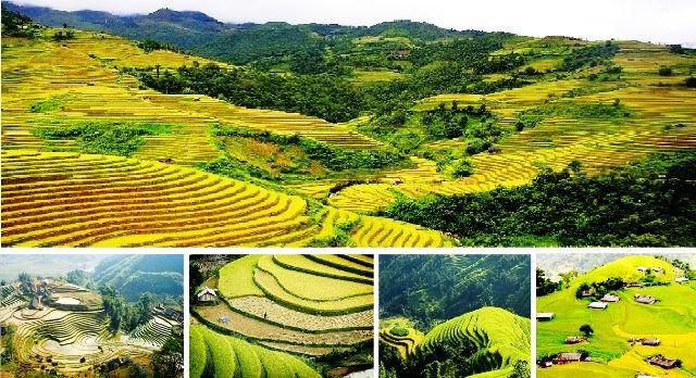 TOUR TÂY BẮC 4 NGÀY 3 ĐÊM (ĐIỆN BIÊN - SƠN LA - MAI CHÂU - MỘC CHÂU)