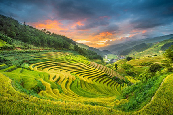 Tour Hà Nội - Mù Căng Chải - Mộc Châu - Hòa Bình